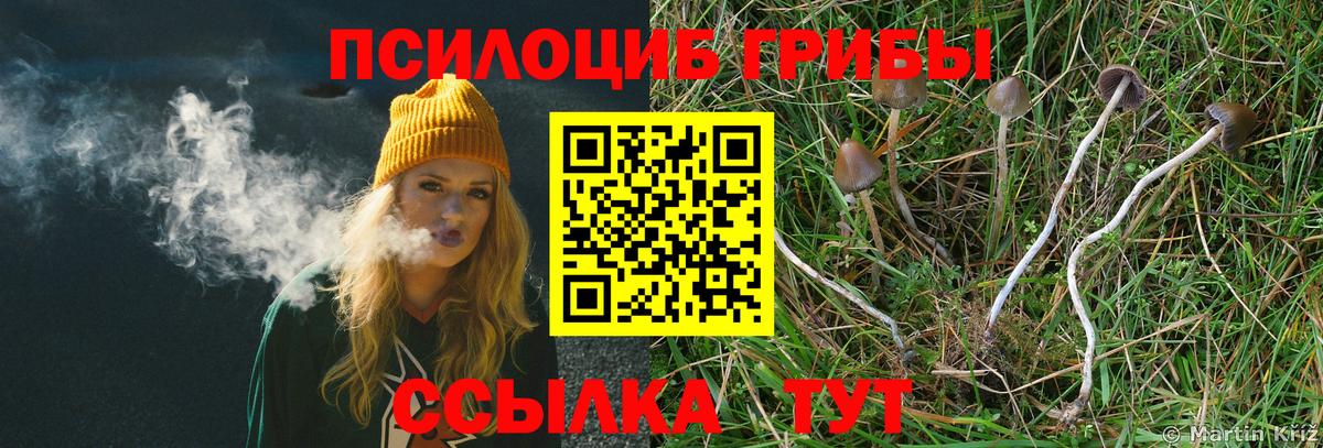 Галлюциногенные грибы ЛСД Артём